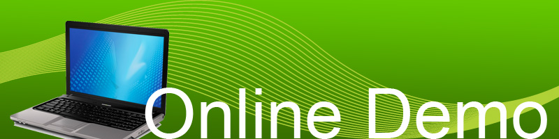 Online Demo